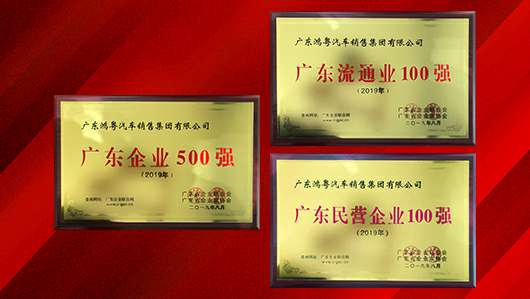 喜讯！海口翰飞高效物流管理有限公司上榜广东企业500强等三大榜单(图2)